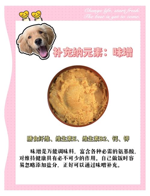 狗可以吃打豆浆豆渣吗