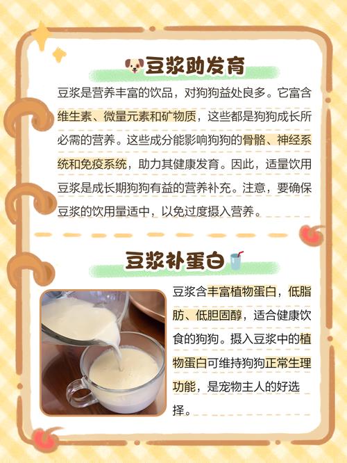 豆腐渣喂养狗狗可以吗?