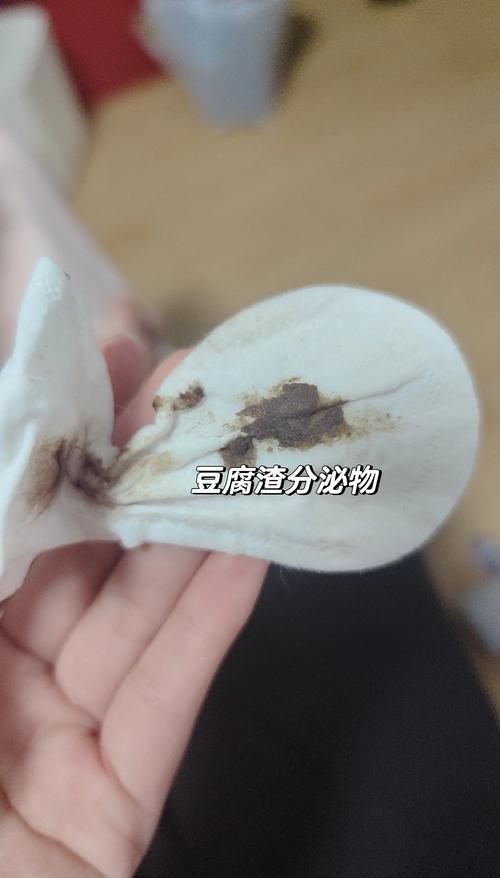 狗狗能吃豆渣么?