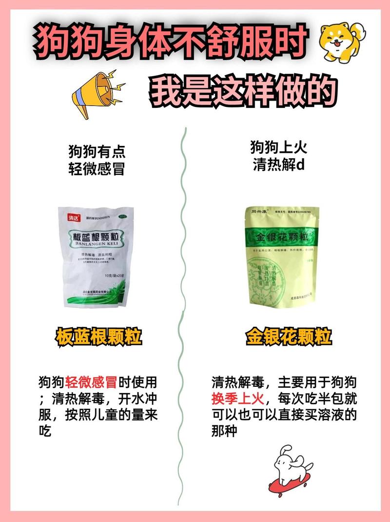狗狗可以吃人吃的蒙脱石散吗