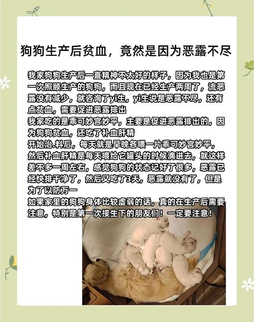 狗狗贫血了怎么办