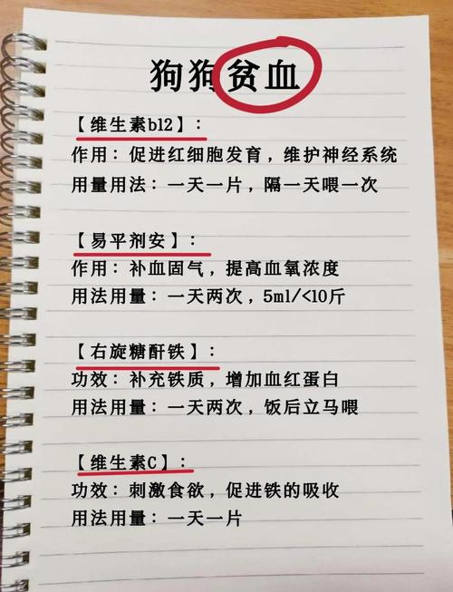 狗狗贫血怎么办