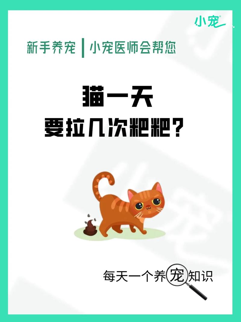 猫咪几天拉一次屎正常?