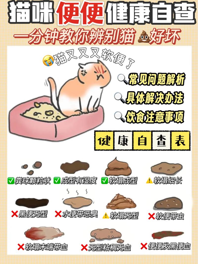 猫咪一天拉几次屎