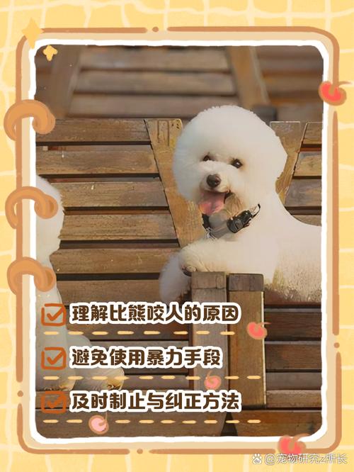 比熊咬主人越打越凶怎么办