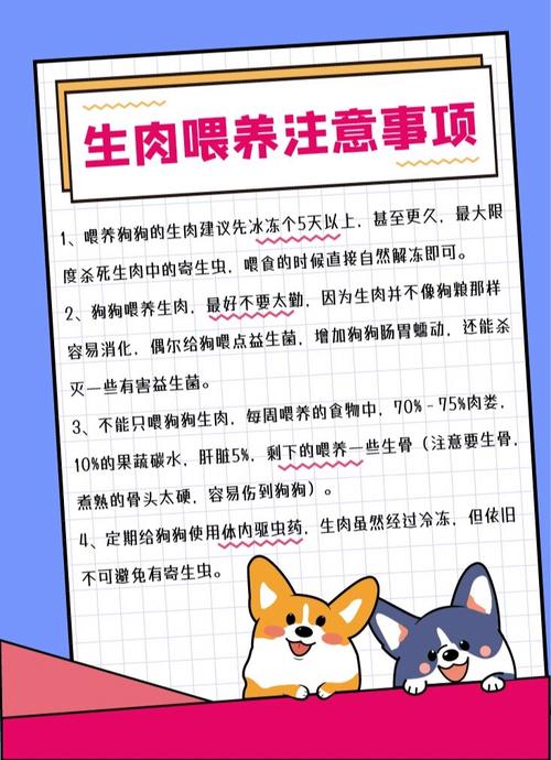 狗吃牛肉的好处和坏处