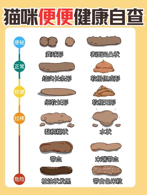 猫拉什么样的屎健康