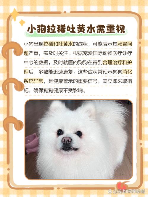 狗狗拉屎黄有点稀的原因及处理方法