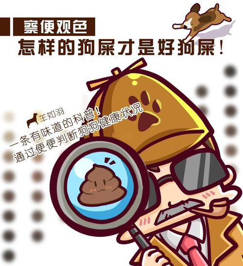 狗拉黄屎是什么原因