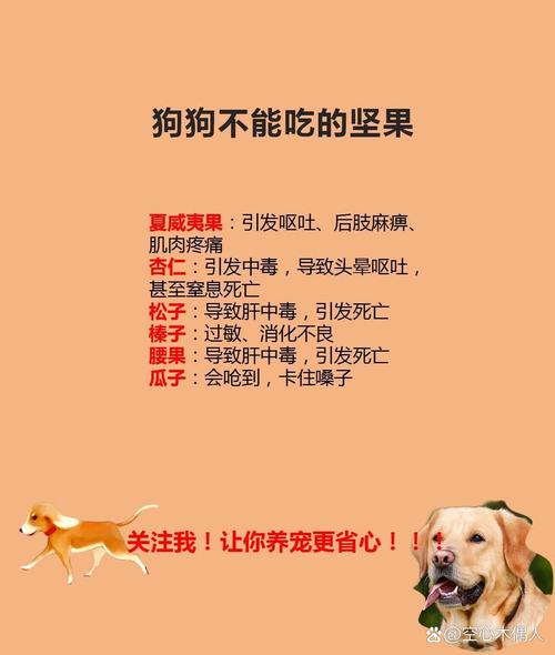 狗狗最忌三种坚果