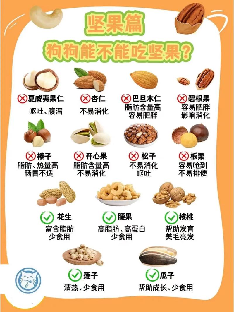 狗狗吃了坚果怎么办