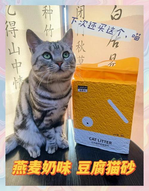 猫吃燕麦片吗