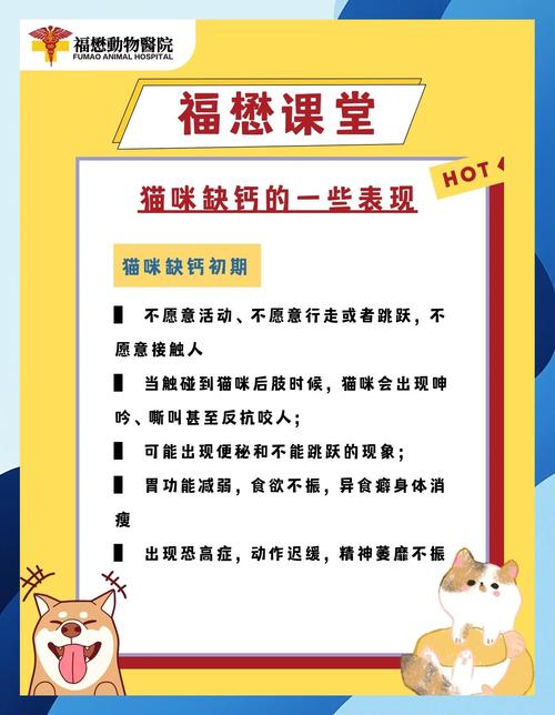 猫咪缺钙的症状