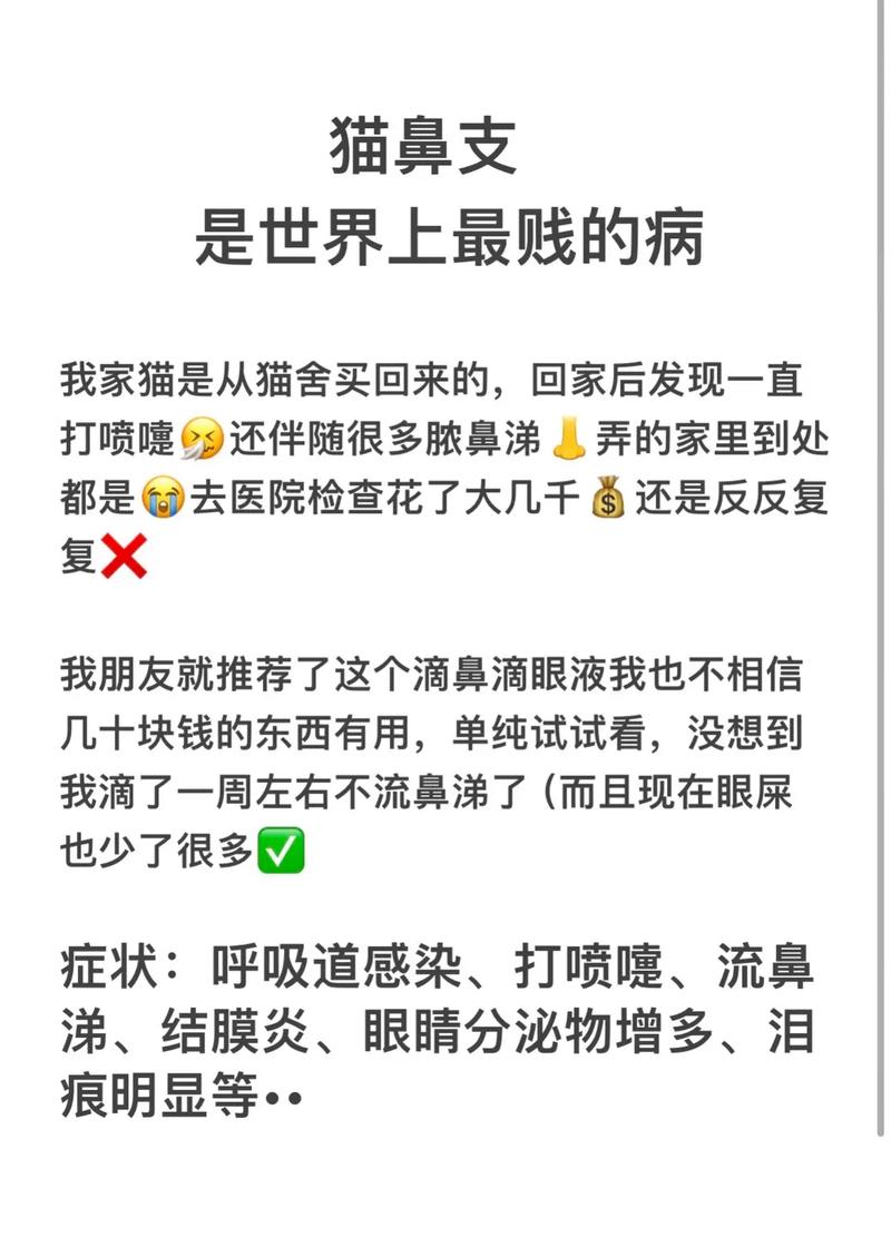 猫咪一直在打喷嚏