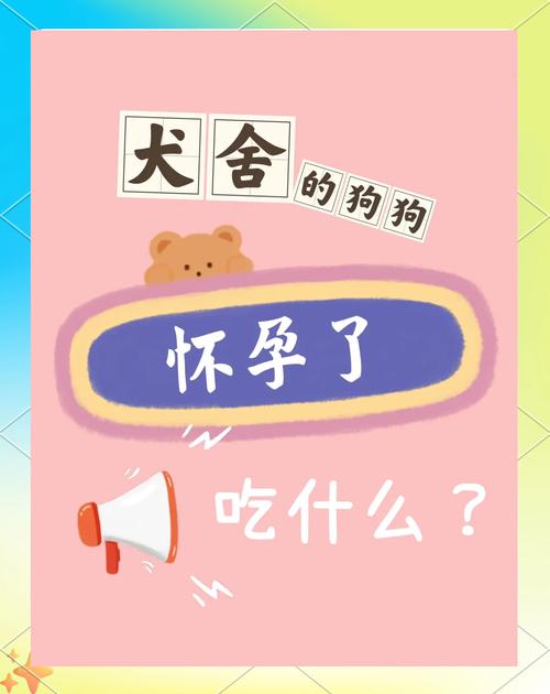 狗狗怀孕期间吃什么东西好