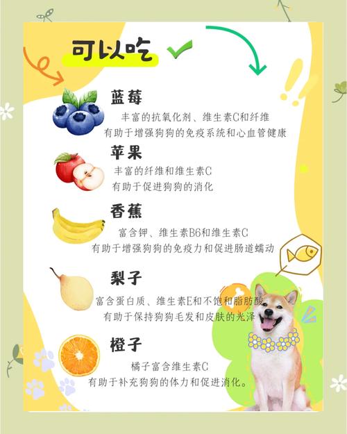 狗狗吃橘子好吗