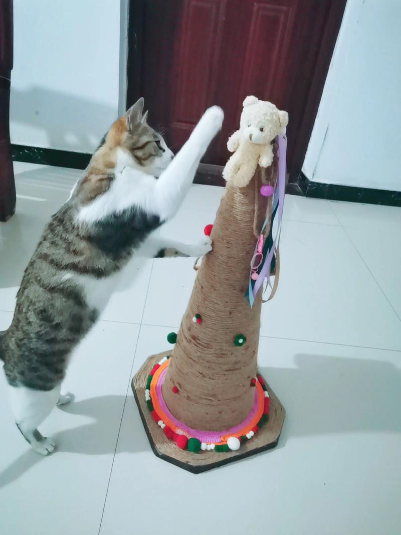 如何自制好玩的猫玩具?