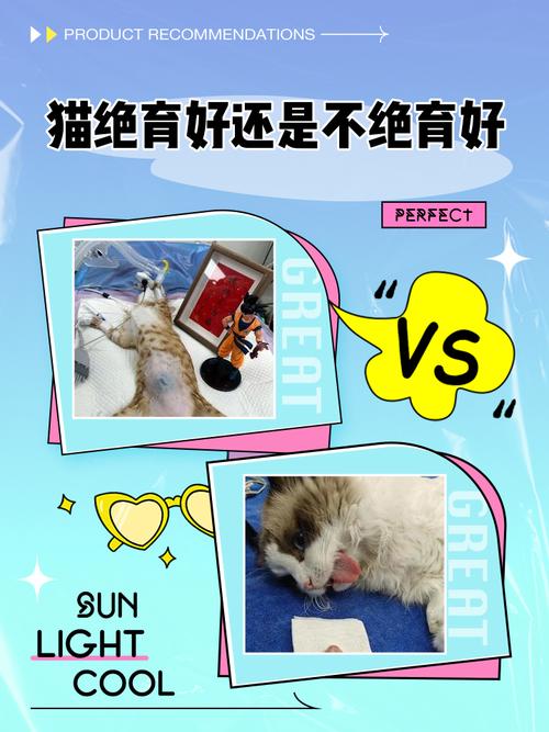 猫咪到底是绝育好还是不绝育好