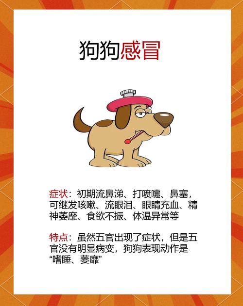 狗狗流鼻涕、流眼泪,不吃东西怎么回事?