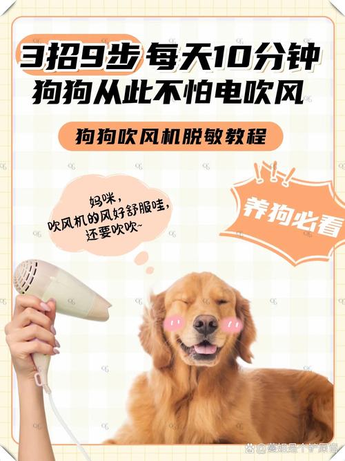 狗狗洗澡怕吹风怎么办