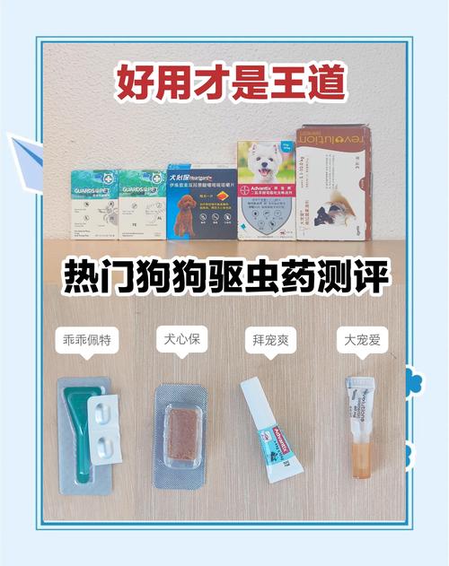 狗狗吃了驱虫药拉稀怎么办