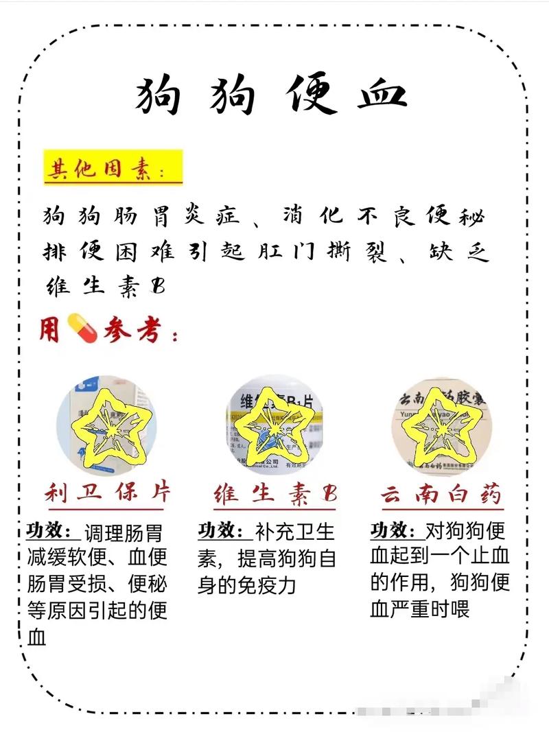 狗狗驱虫后为什么拉稀拉血