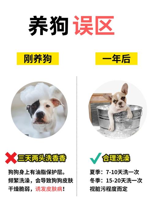 四十多天的狗可以洗澡吗