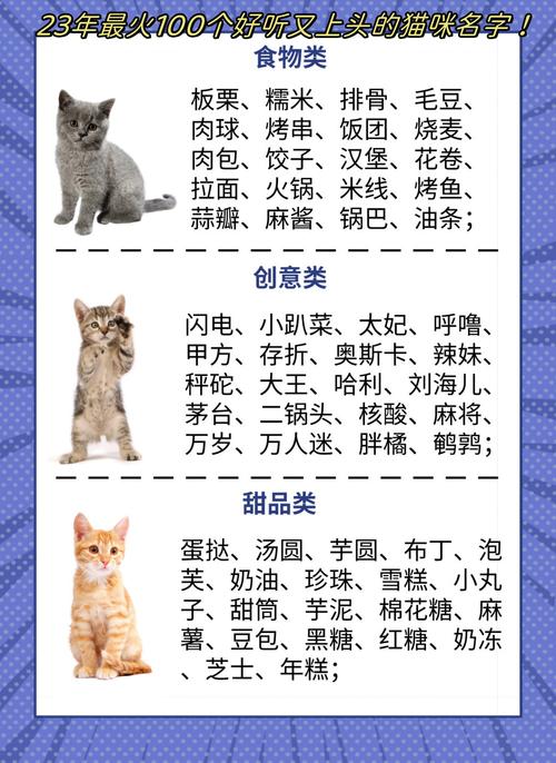 带财气的猫名字