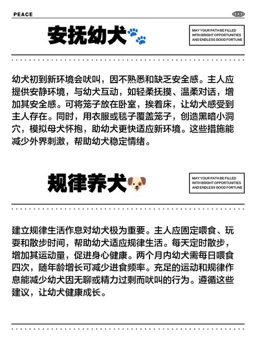 狗狗刚到家一直叫怎么办