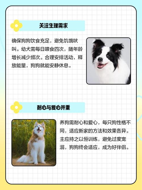 狗狗刚到新家一直叫怎么办?