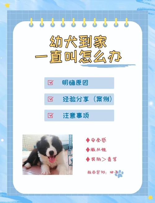 狗狗刚到新家一直叫怎么办