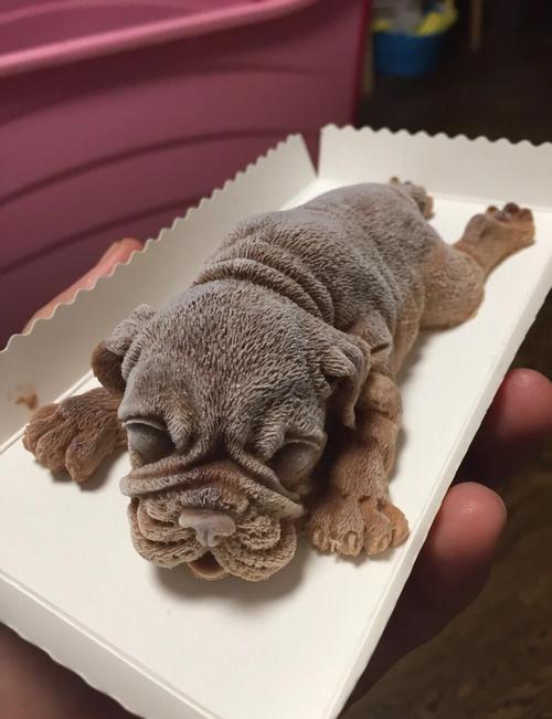 狗能不能吃豆沙