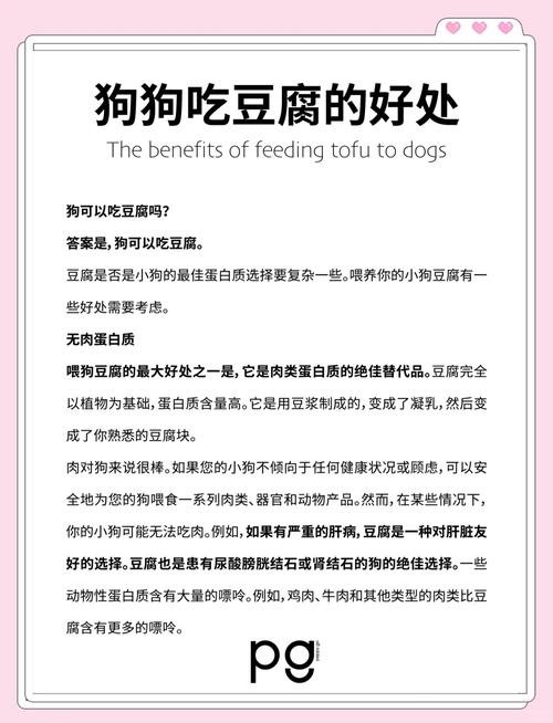 狗可以吃豆沙包吗