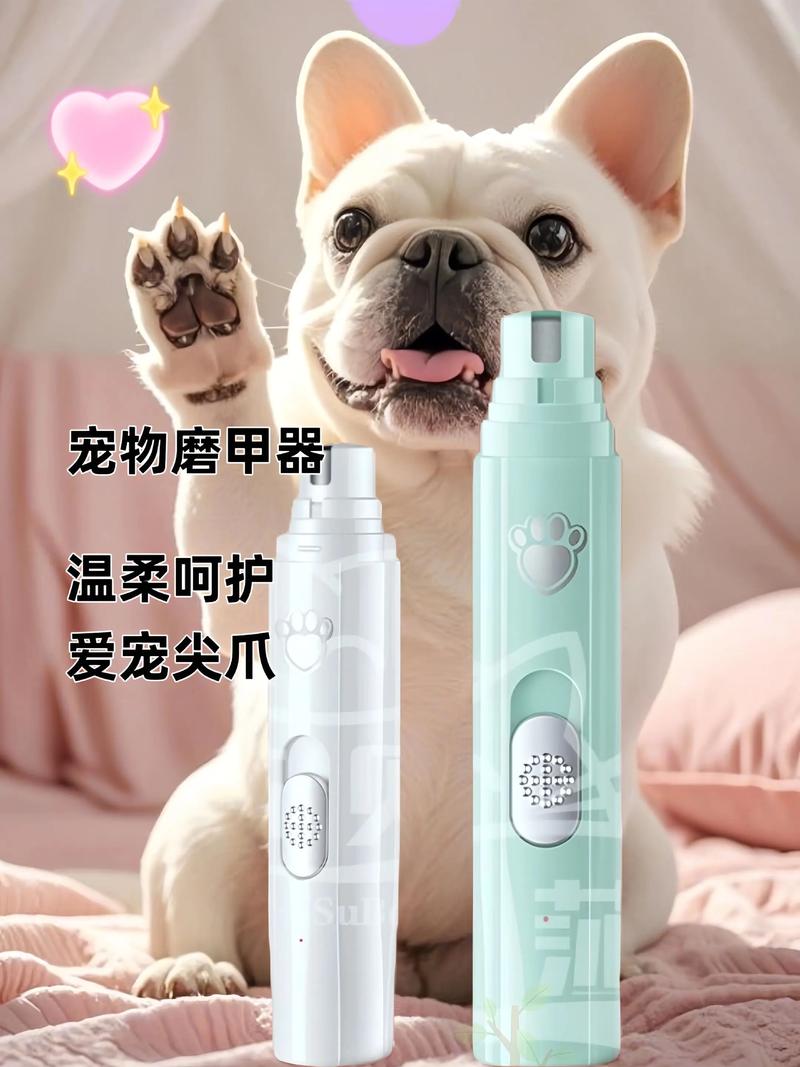 宠物狗的指甲怎么剪