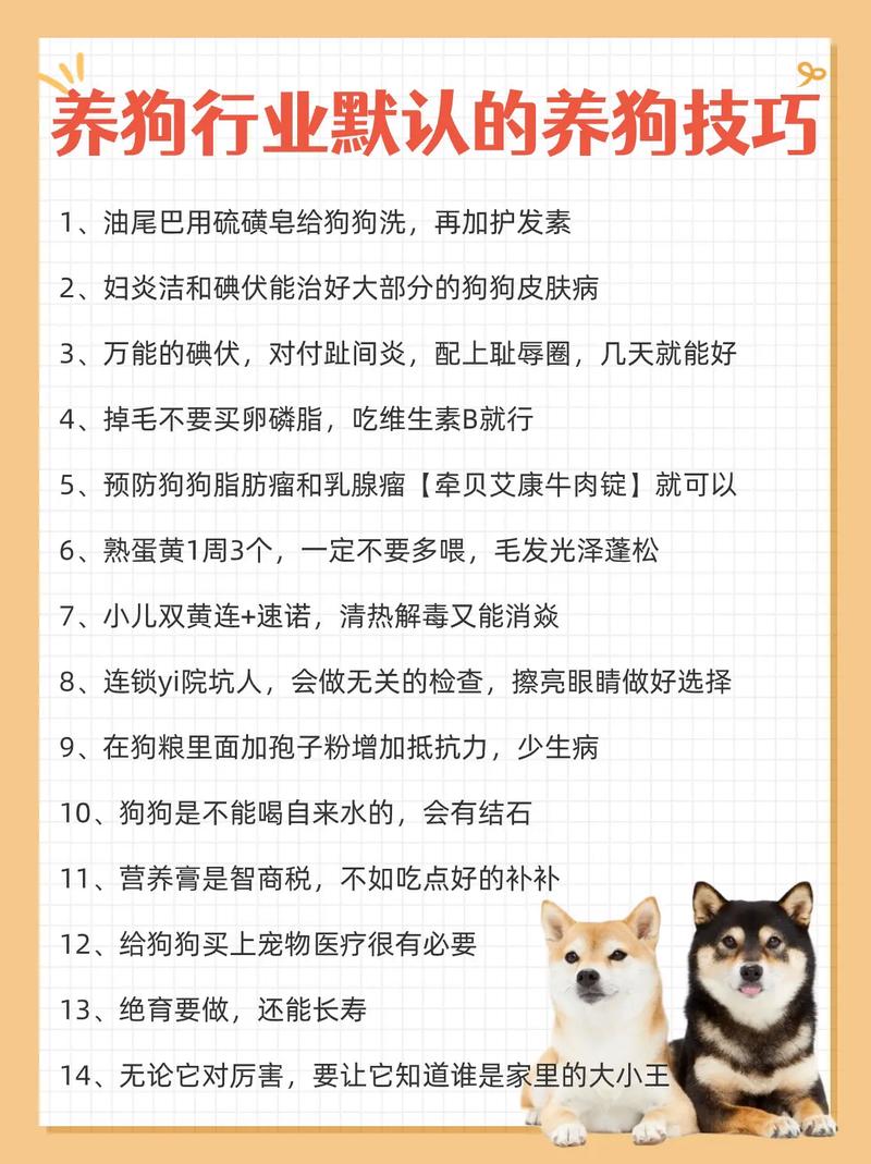 给狗狗使用硫磺皂的方法