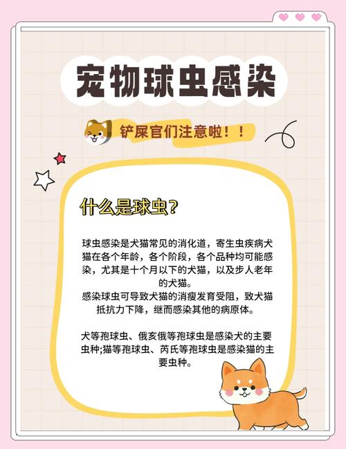 狗狗感染球虫的症状有哪些