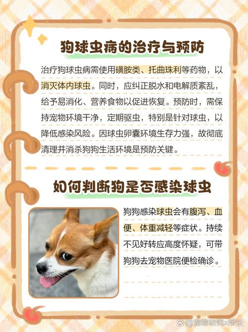 狗狗球虫的征兆