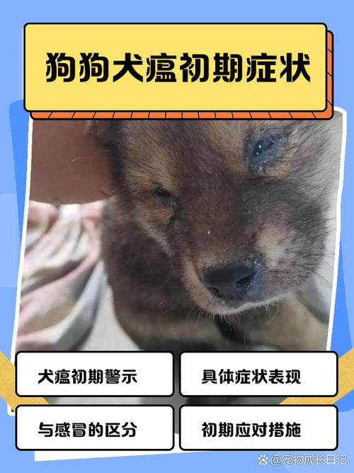 狗狗得了犬瘟的症状是什么