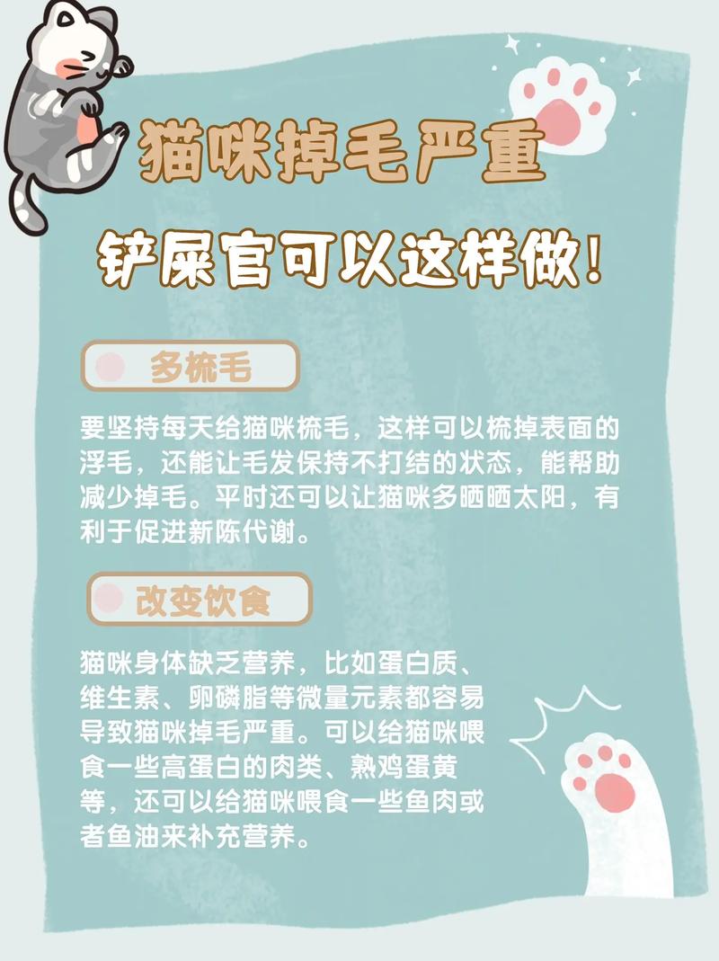 怎么让猫少掉毛