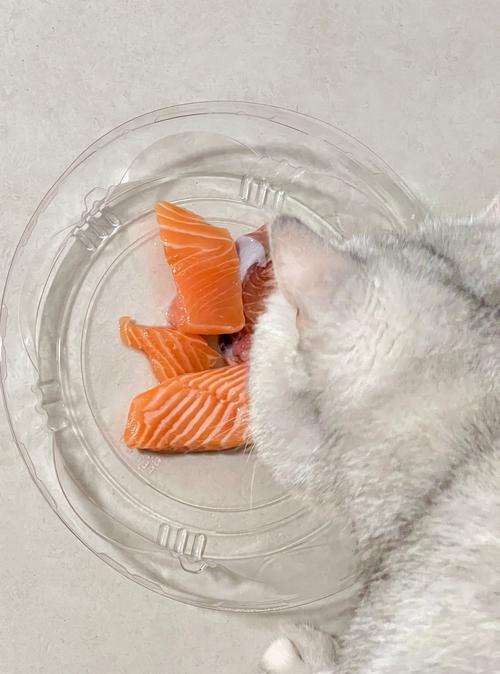 三文鱼怎样处理才能喂给猫咪吃?