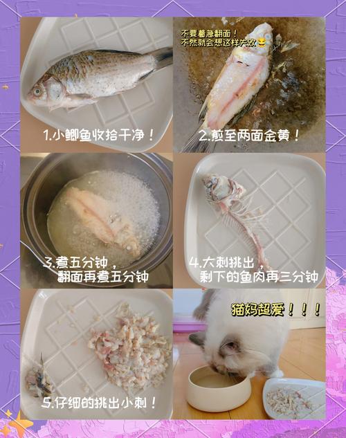怎样给猫熬鲫鱼汤?