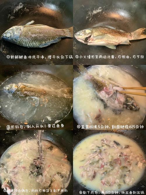 母猫喝的鲫鱼汤怎么做