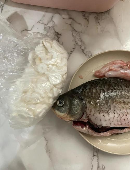 给猫咪做鲫鱼汤的做法?