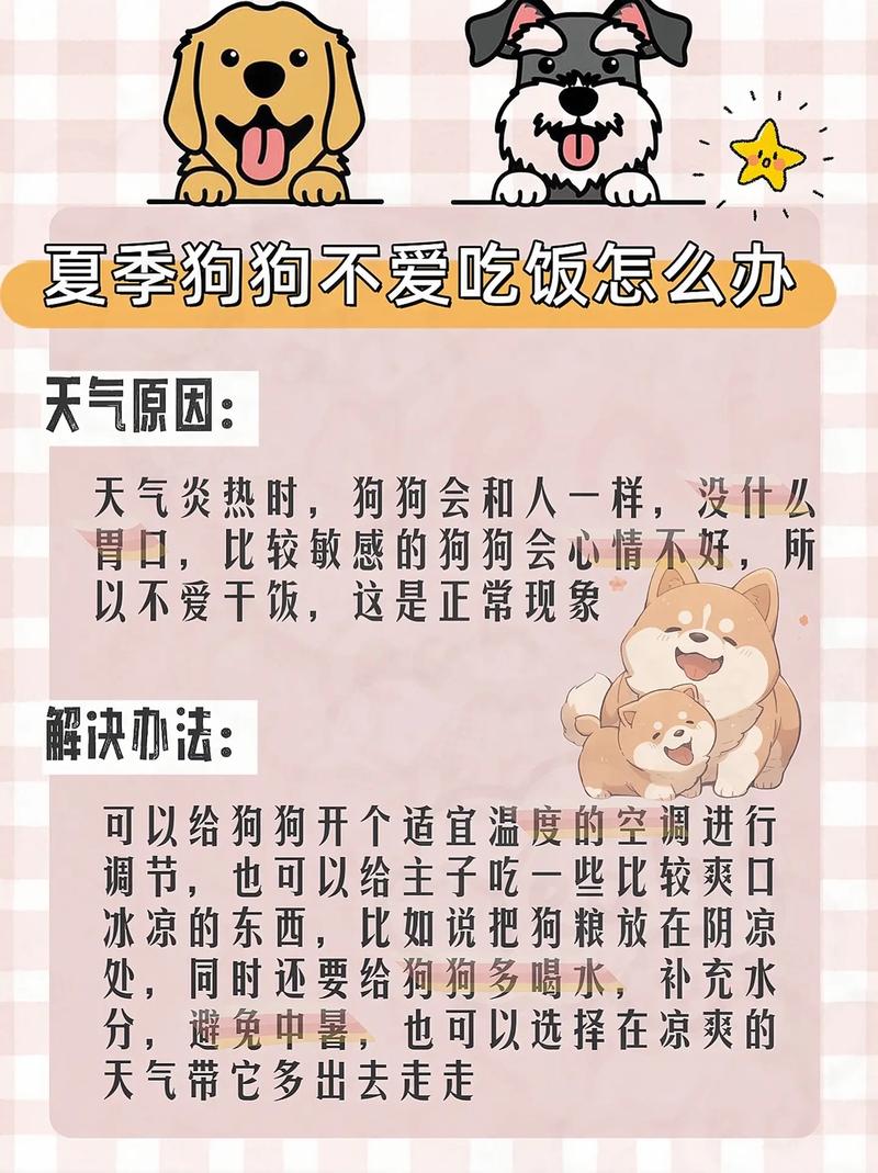 宠物狗不爱吃饭是什么原因引起的?