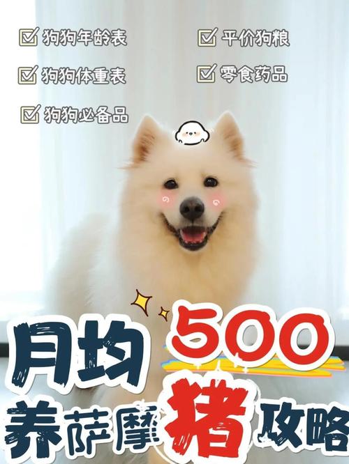 寄养狗狗一个月多少钱