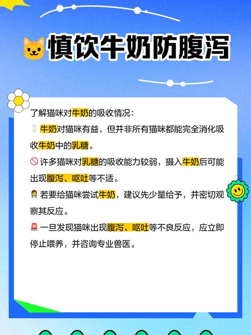 成年猫可以喝牛奶吗?