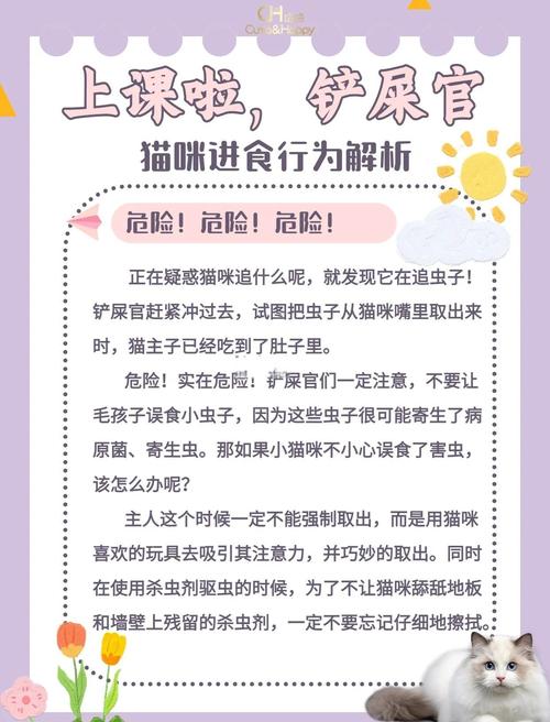 我家的猫吃了虫子怎么办??