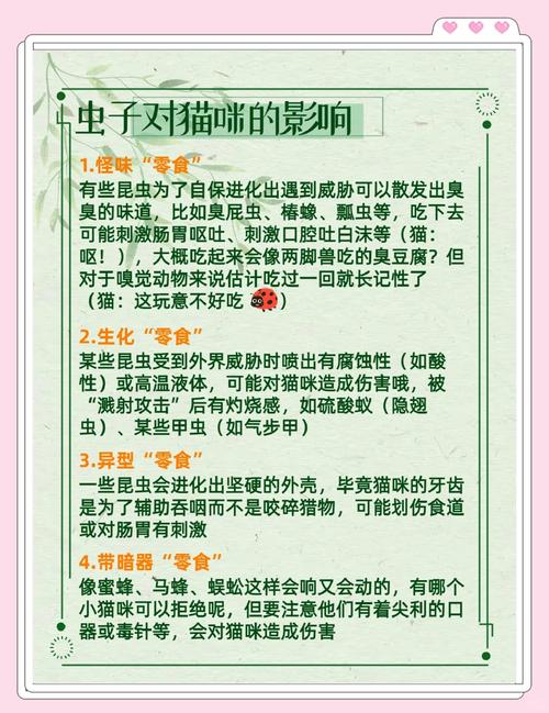 宠物猫吃了虫子怎么办