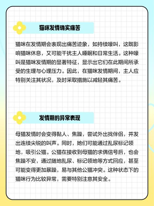 猫咪难受的姿势