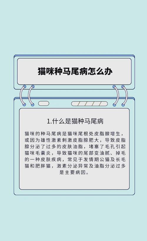 猫咪马尾病猫会难受吗